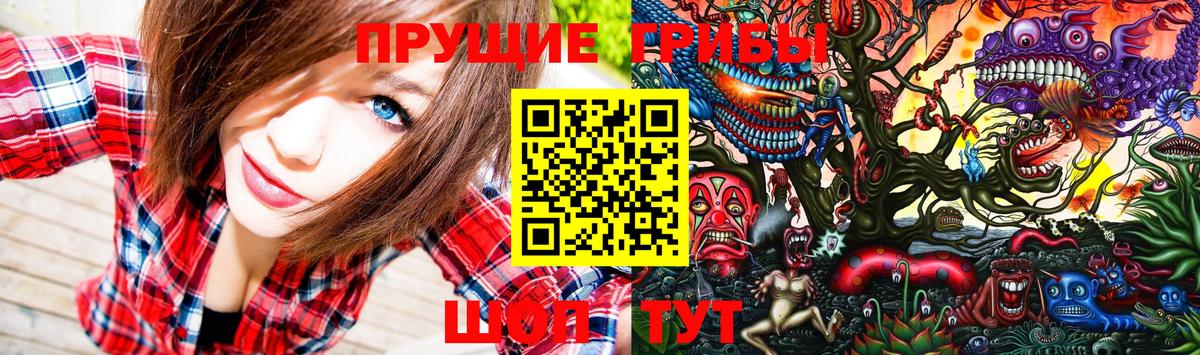 Галлюциногенные грибы Cubensis Октябрьский