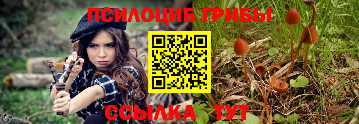 Октябрьский  Псилоцибиновые грибы Magic Shrooms  Вход с VPN  Галлюциногенные грибы мухоморы 